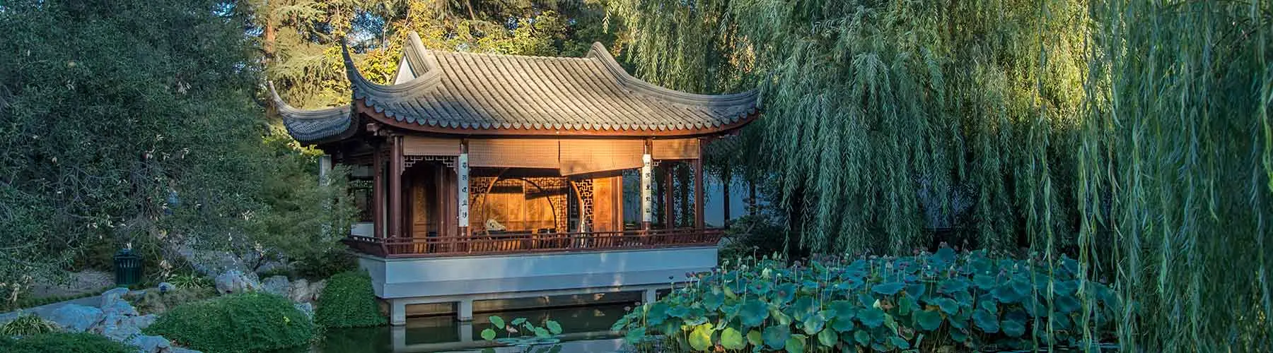 pavilion in the chinese garden