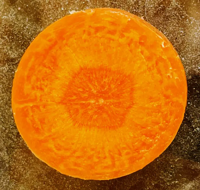Orange circle on dusty gold background. The circle has three concentric rings of different shades.
