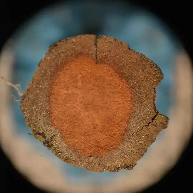 Irregular circle with brown on the outside and reddish brown on the inside.
