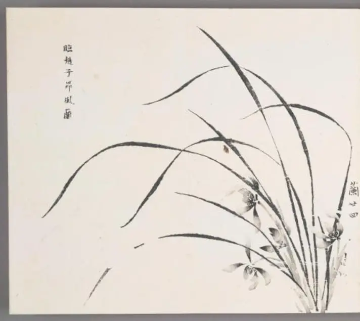 Woodblock print featuring a black and white orchid with curved leaves. 