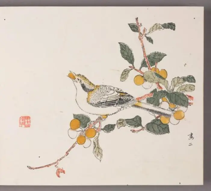 Woodblock print featuring a black and white bird sitting on a fruiting branch and eating a small orange fruit. 