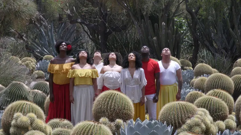 Black and brown people wearing red, yellow, and white stand in a line amidst cactuses and agaves. Their arms are by their sides and their heads are tilted upwards with their eyes closed.. 