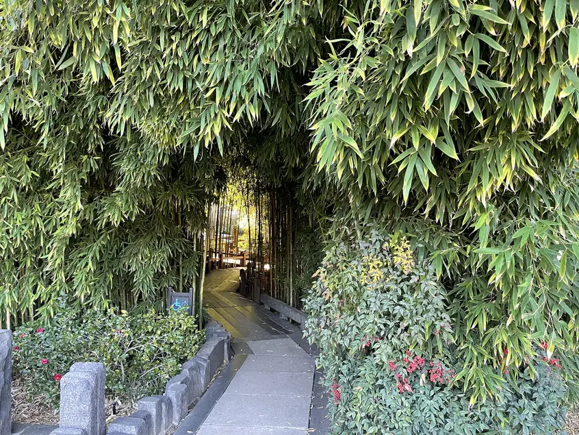 A narrow stone path winds through an archway of bamboo