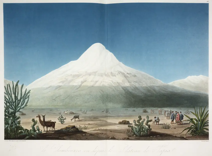 Image of a white mountain with animals, humans, and desert plants in the foreground.