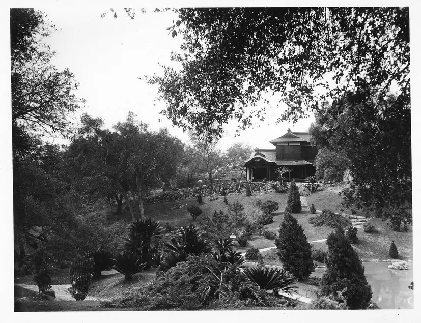 Black and white photograph of a garden with plants on a lawn and a building in the distance.