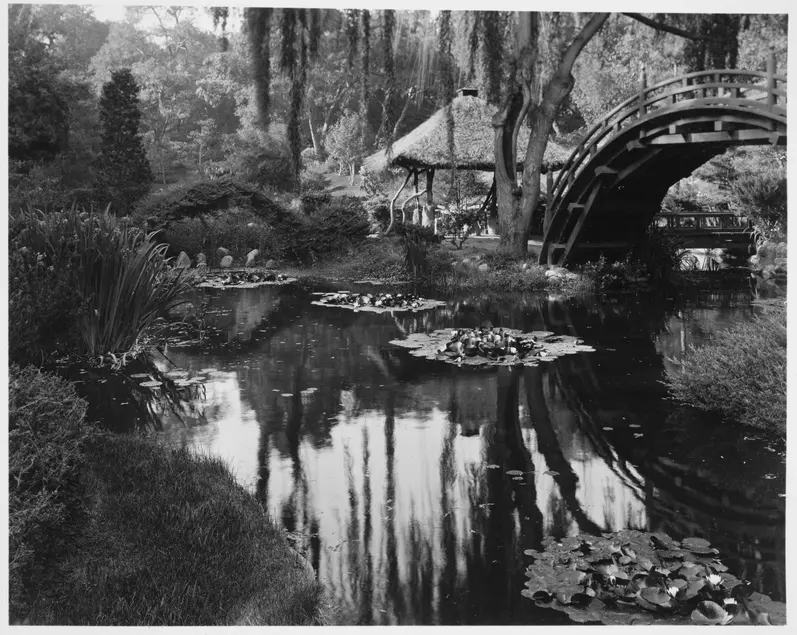 Black and white photograph of still water with floating leaves and flowers. The water issurrounded by plants. A domed bridge arches over the back corner of the water and a roof of a building is visible in the background.