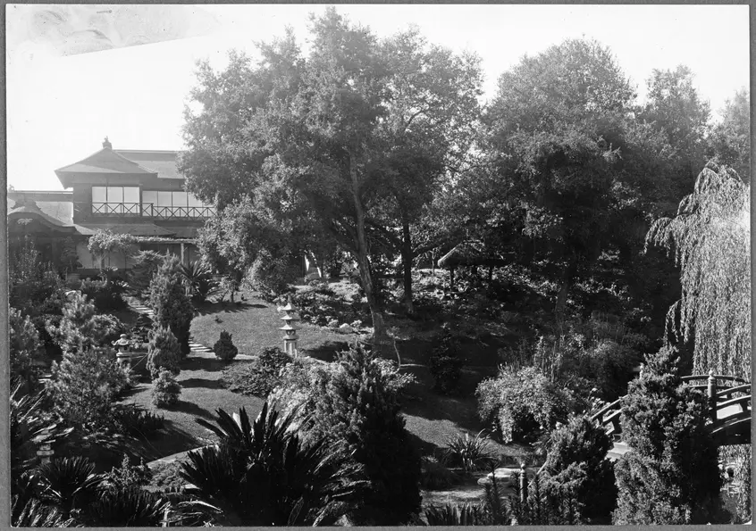 Black and white photograph of a garden with plants and a building in the distance.