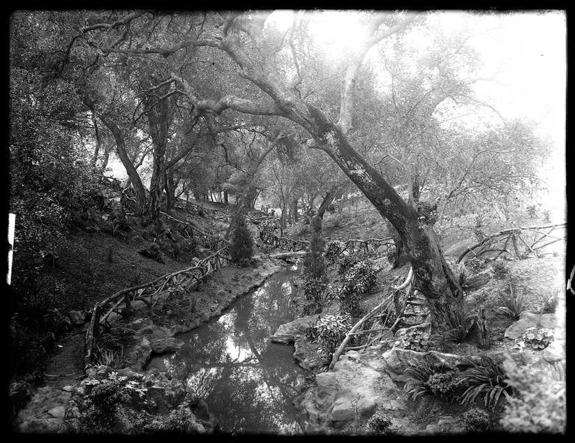 Black and white photo of a narrow body of water winding through an area of wild-looking plants.