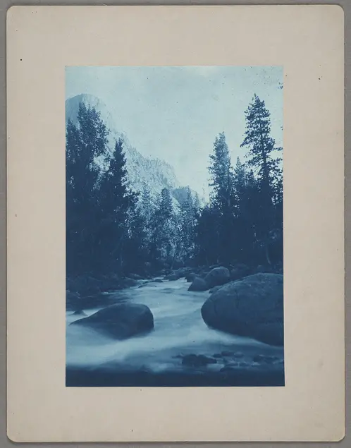 Blue photograph depicting tall pine-like trees, large boulders, and a rushing creek.