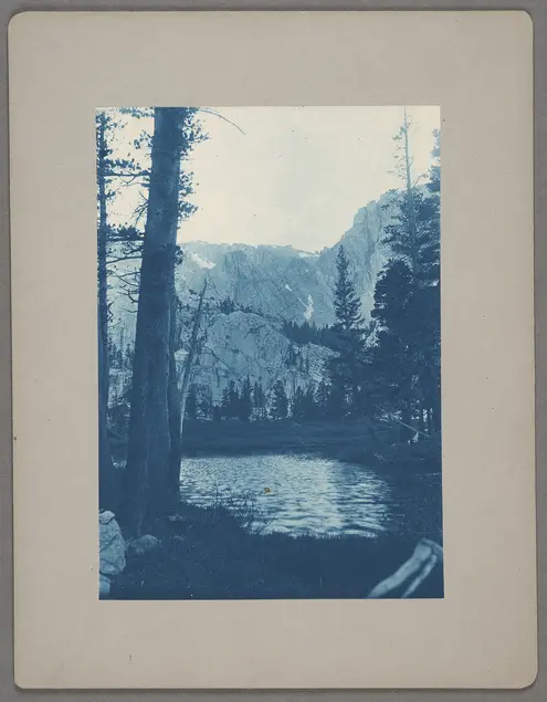 Blue photograph depicting tall pine-like trees, a high rock face in the background, and a body of still water.
