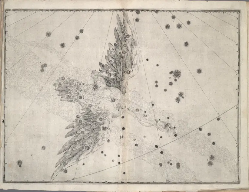 Printed chart with stars of different sizes and an illustration of a swan viewed from the top