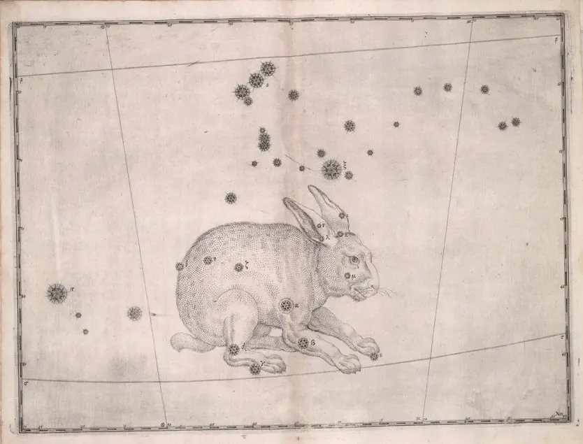 Printed chart with stars of different sizes and an illustration of a rabbit