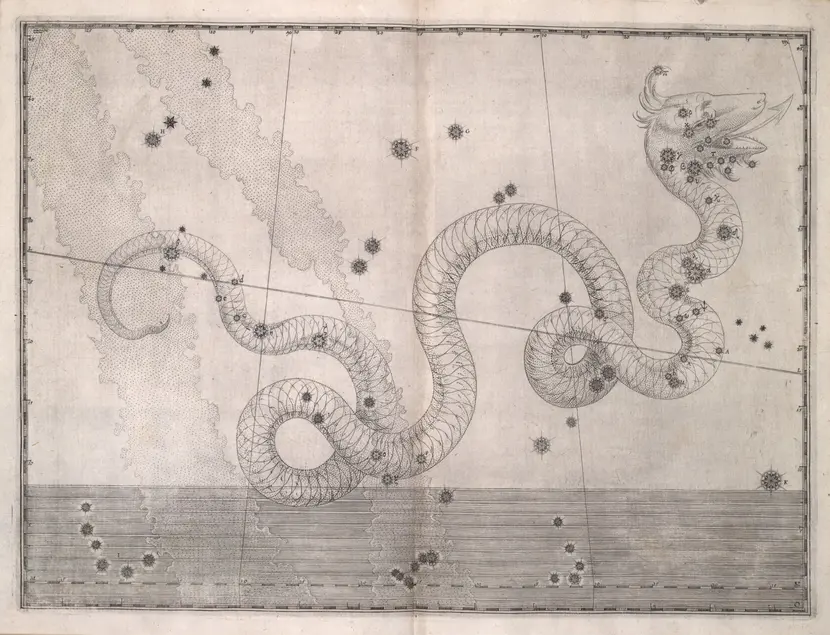 Printed chart with stars of different sizes and an illustration of a snake with defined scales stretched across the page