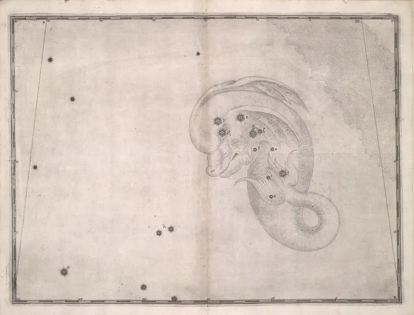 Printed chart with stars of different sizes and an illustration of a sea creature with a finned crest and no visible side fins