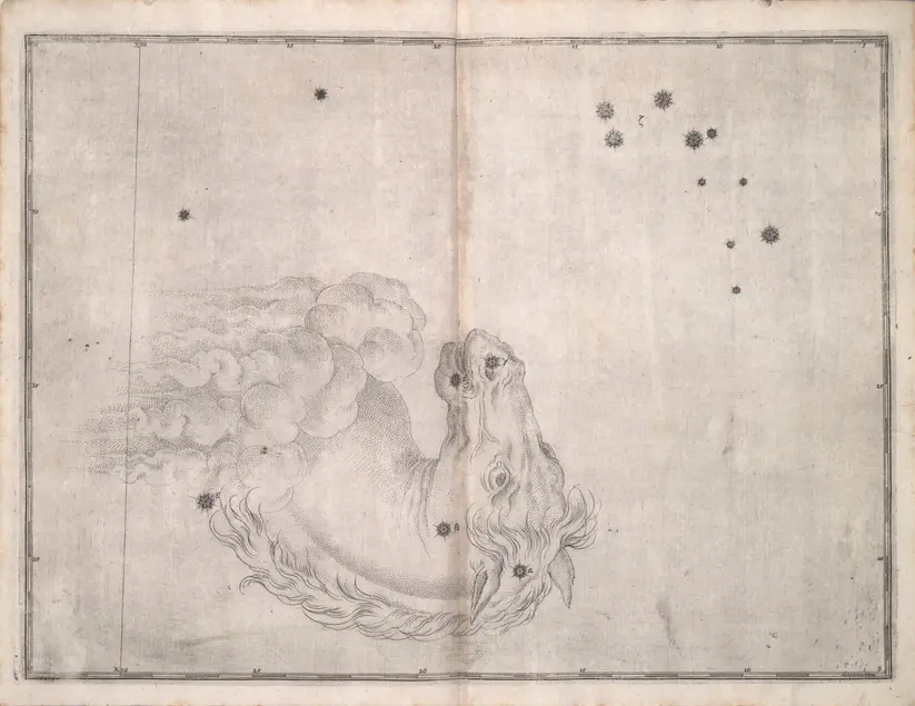 Printed chart with stars of different sizes and an illustration of an upside-down horse head emerging from clouds