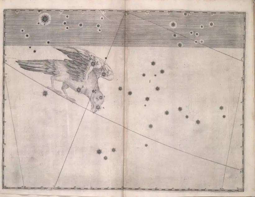 Printed chart with stars of different sizes and an illustration of a crow-like bird