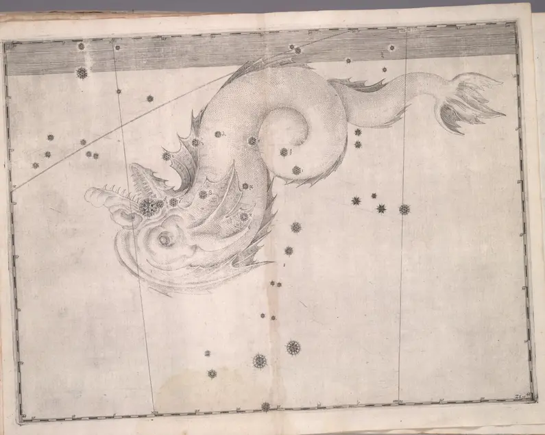 Printed chart with stars of different sizes and an illustration of a sea creature with a crested fin, finned tail, no side fins, and sharp teeth