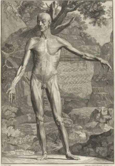 Person with skin removed to reveal muscles poses with arm outstretched. Background is of trees and rocks.