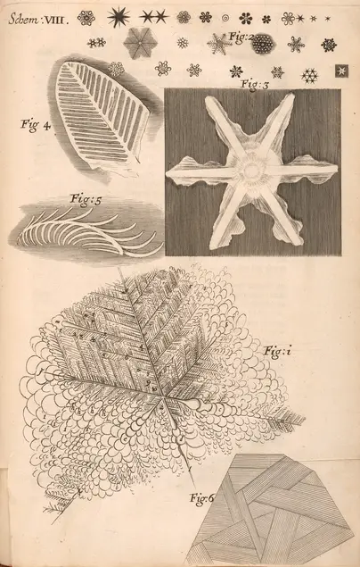 Printed illustrations of snowflake-like patterns.