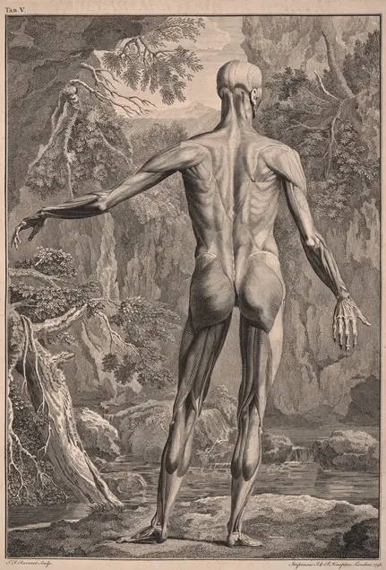 The back of a figure with skin removed to reveal muscles. The background is of lush greenery.