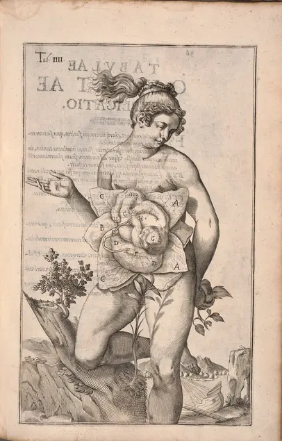 Printed illustration of a nude person standing on one leg with a peaceful expression. The person's abdomen has been opened to reveal a near-developed fetus.