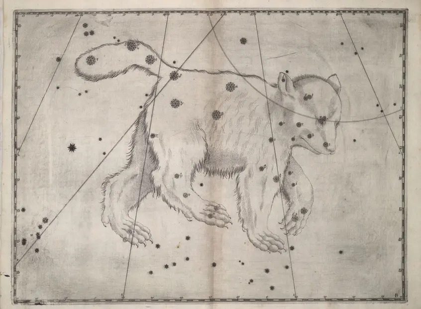 Printed chart with stars of different sizes and an illustration of a large bear with a small beaver-like tail