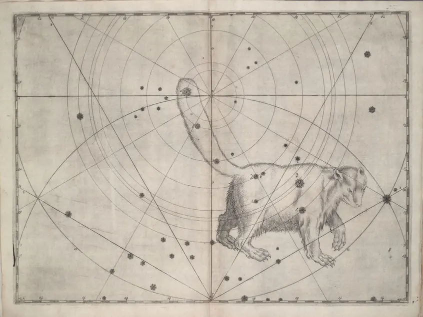 Printed chart with stars of different sizes and an illustration of a small bear with a large beaver-like tail