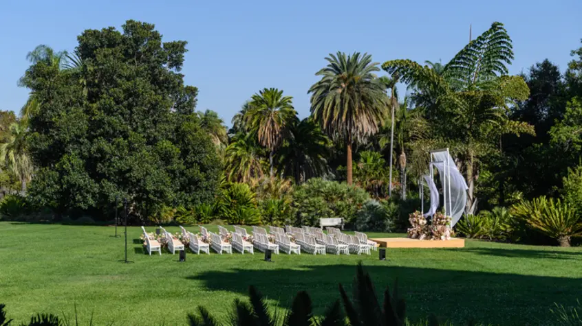 10 rows of wedding chairs and a simple raised platform surrounded by magestic lawn and trees.