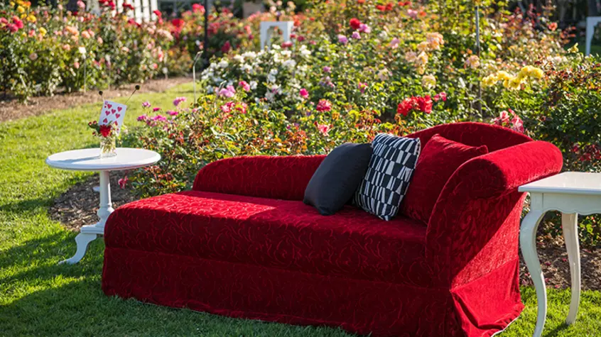 A red velvet chaise lounge sits among beds of blooming roses. 