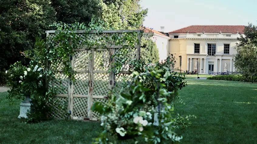 A trellis sits on a lawn adorned with sprawling green vines and white roses.