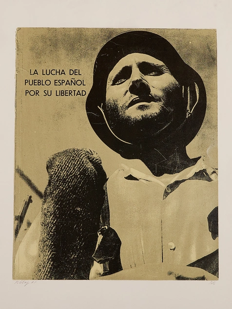 A duotone book cover depicting a soldier's face viewed from below.