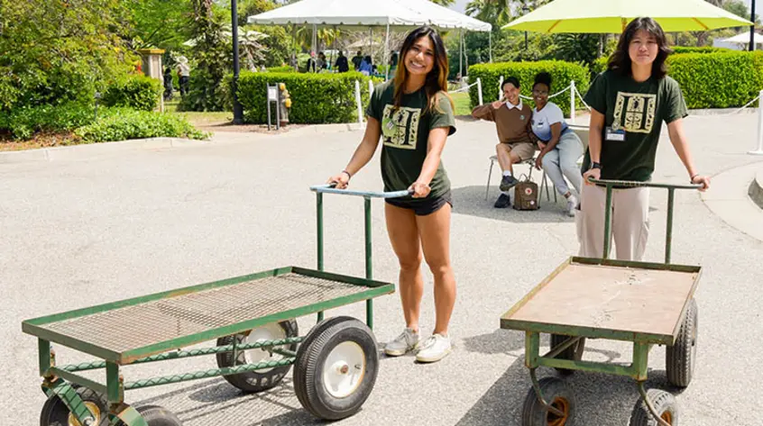 Two student volunteers pushing carts