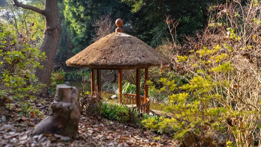 Pavilion for Washing Away Thoughts in the Japanese Garden.