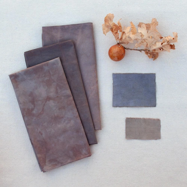 Gray napkins are folded next to a dry oak gall and dye swatches.