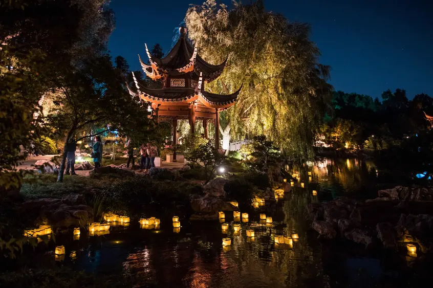 Chinese Garden at night with lanterns floating on lake