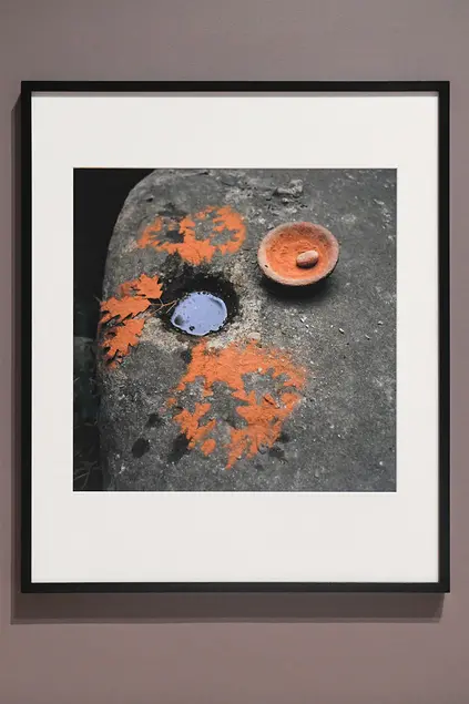 A framed photograph of orange pigmented leaves splayed on a rock.