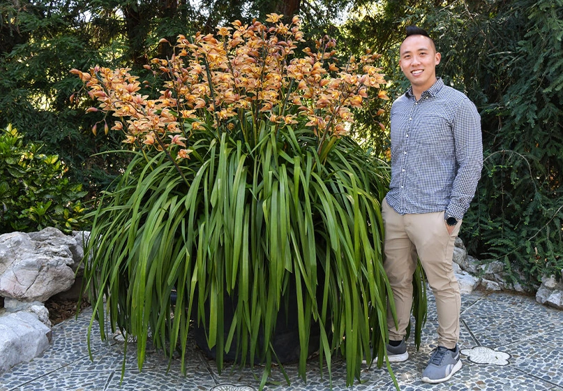 A smiling person stands near a large potted orchid with orange flowers.