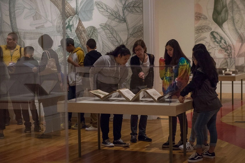 A group of people look at a display of books in a museum.