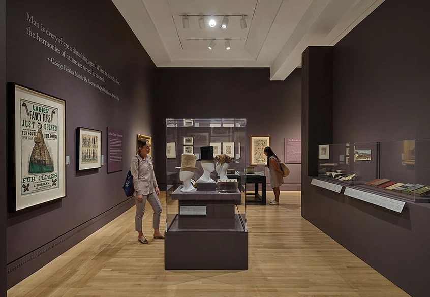 Two people look at objects in museum gallery display cases.