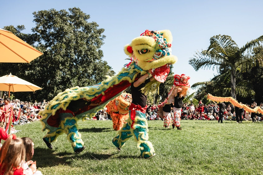 A crowd watches a large Lion puppet, operated by two performers, on a grass lawn.