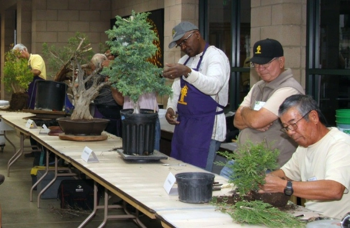 People sit and stand behind a long table while working on bonsai.