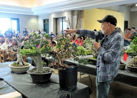 A person stands near potted plants on a stage, in front of an audience.