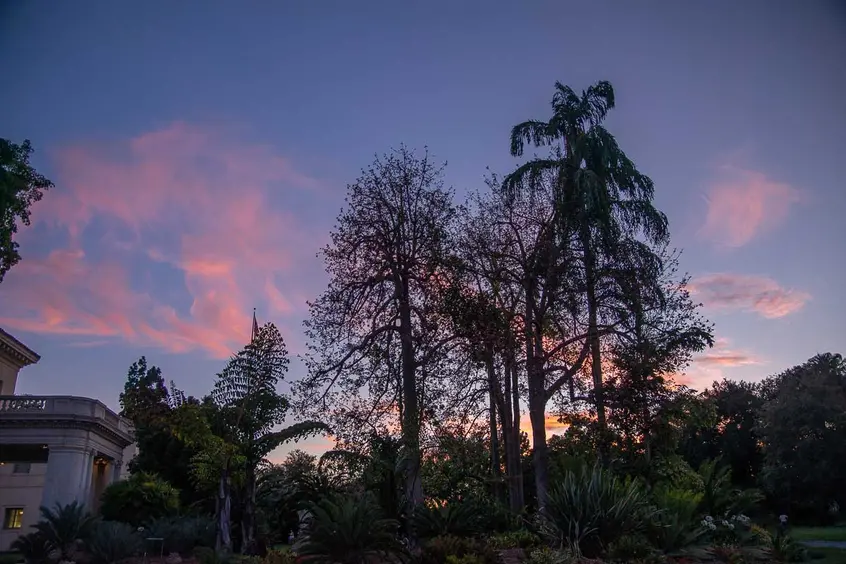 Evening sky in the garden