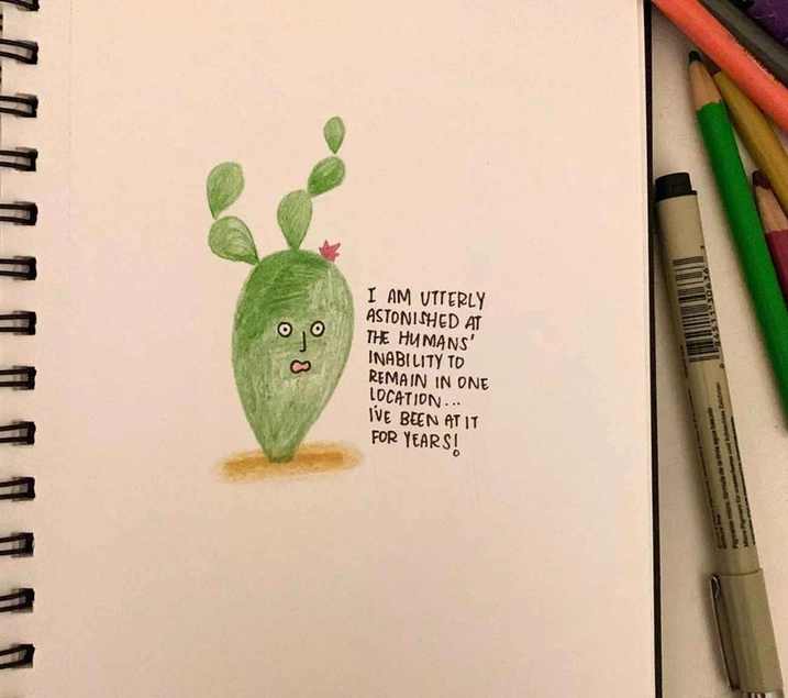 Cactus drawing