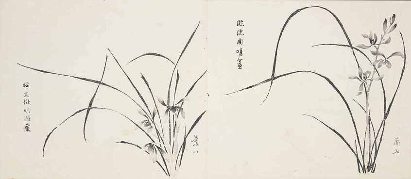 “In the Manner of Wen Zhengming’s Orchids in Rain” (left) and “In the Manner of Shen Zhou’s Orchids in Clear Weather” (right), Orchid 8 and 7, Ten Bamboo Studio Manual of Calligraphy and Painting, Ming dynasty, Chongzhen period to early Qing dynasty, ca. 1633–1703. Compiled and edited by Hu Zhengyan (1584/5–1673/4). Woodblock-printed book mounted as album leaves, ink and colors on paper, 9 7/8 × 11 1/4 in., each sheet. The Huntington Library, Art Collections, and Botanical Gardens.