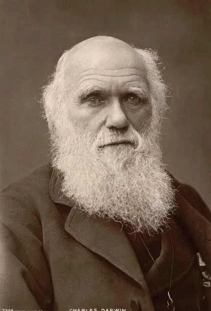 Last photo taken of Charles Darwin, 1881, by Herbert Rose Barraud. Huntington Library.