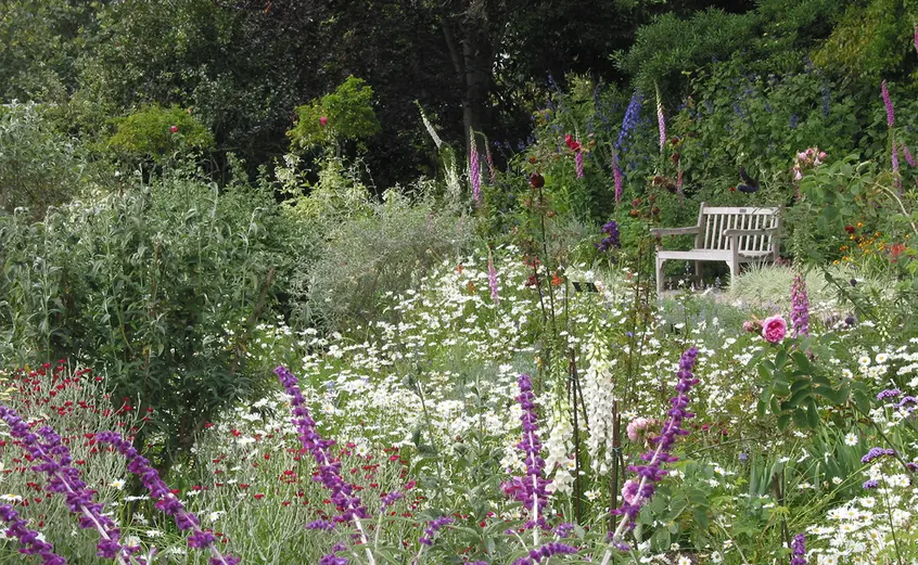 wooden garden bench among the flowers