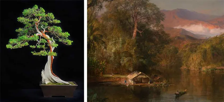 Left: California juniper bonsai (Juniperus californica), styled from plant material approximately 500 years. Photo by Andrew Mitchell. Right: Frederic Edwin Church, Chimborazo, 1864 (detail.) The Huntington Library, Art Museum, and Botanical Gardens