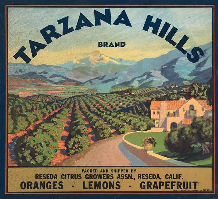 Los Angeles, Tarzana Hills Brand