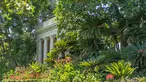 The Huntington Art Gallery's loggia peaks out from behind large green trees and foliage.	